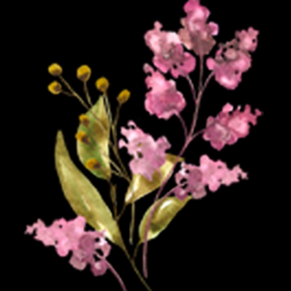 Loved Ak SHHHH. NO 0NE  CARES   Womens Bella Canvas Tanktop - Picture 7 of 7